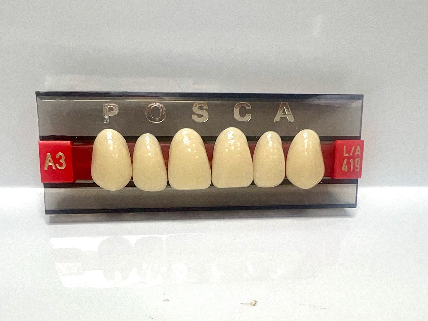 Posca Premium Acrylic Teeth A3 Anterior or Posterior Full Boxes