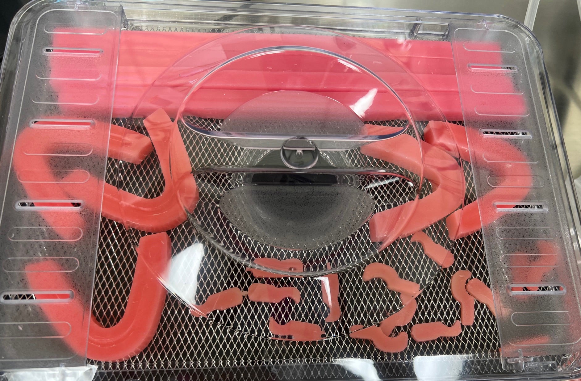 Pre Formed Dental Wax Clasps 100/pack