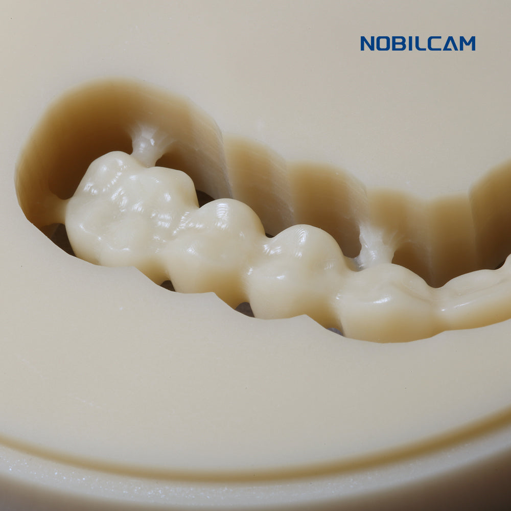 Huge USA NOBILCAM Monolayer PMMA Discs