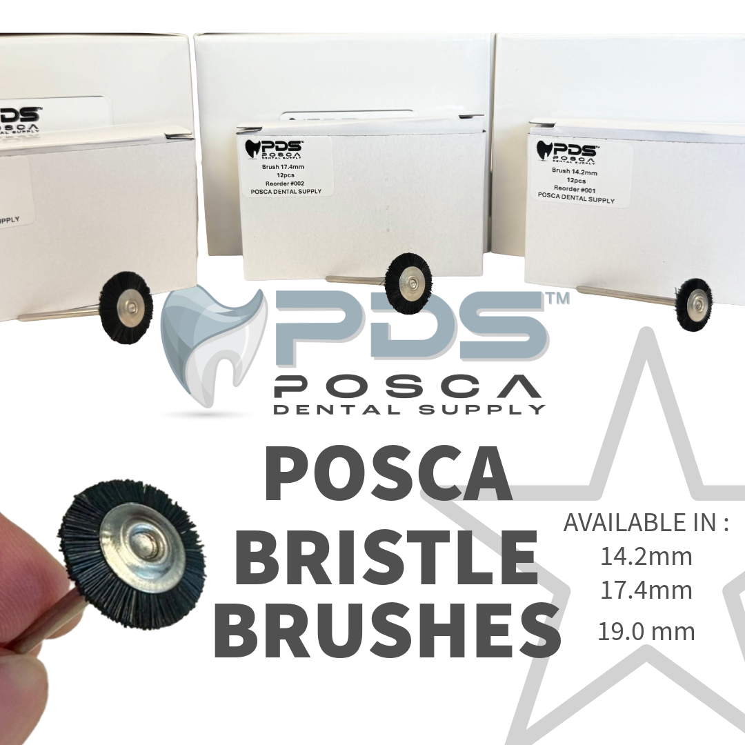 POSCA BRISTLE BRUSHES 14.2 , 17.4 , AND 19 mm AVAILABLE !