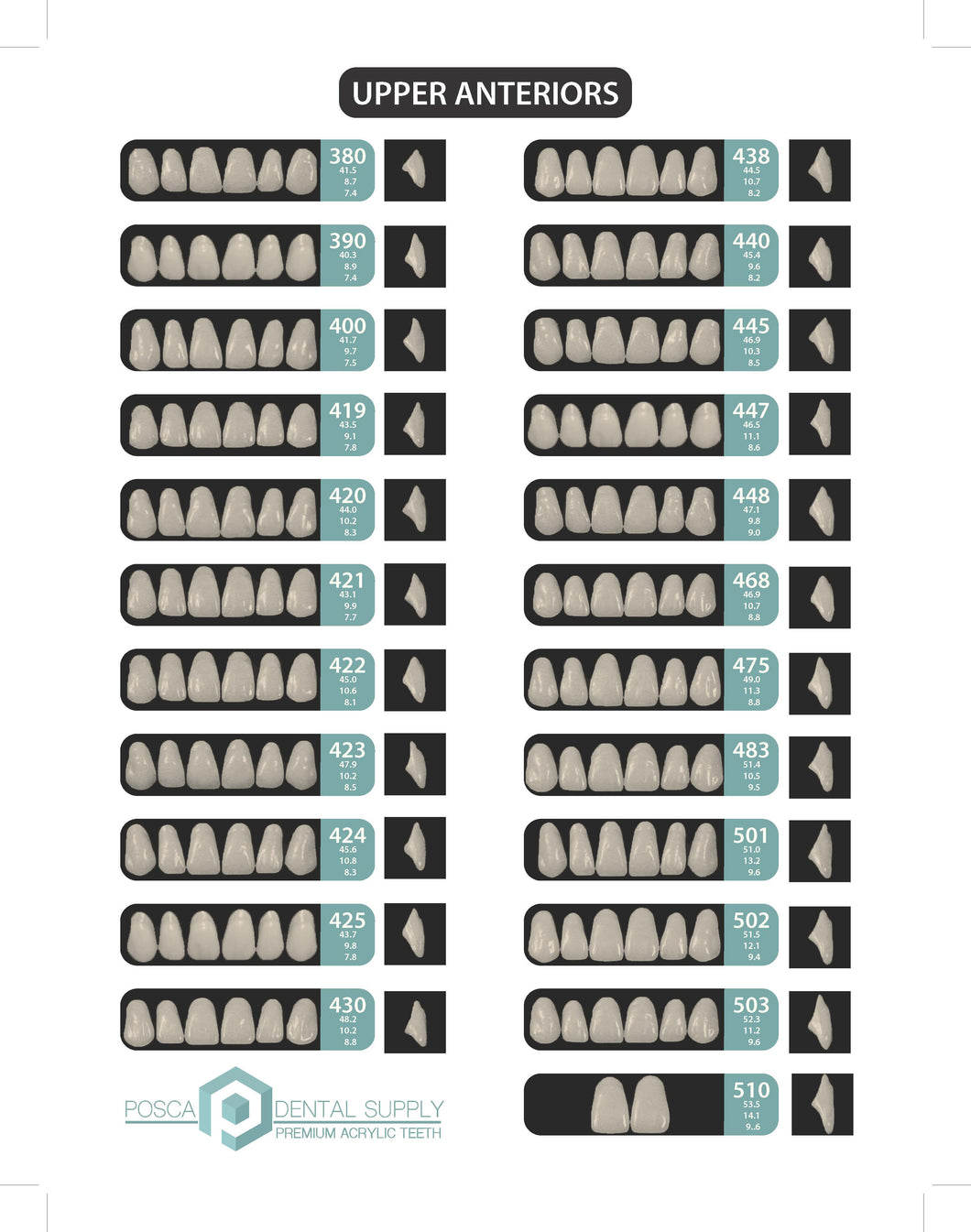 Mould Guide for Posca Teeth – POSCA DENTAL SUPPLY